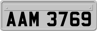 AAM3769
