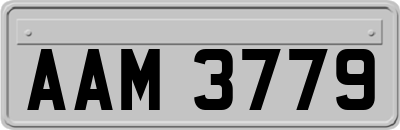 AAM3779