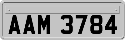 AAM3784