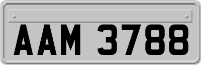 AAM3788