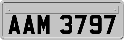 AAM3797