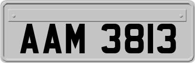 AAM3813