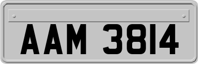 AAM3814