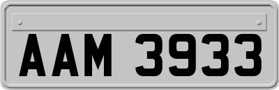 AAM3933