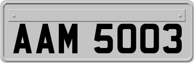 AAM5003