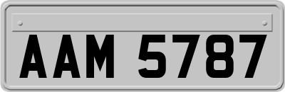 AAM5787
