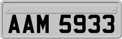 AAM5933
