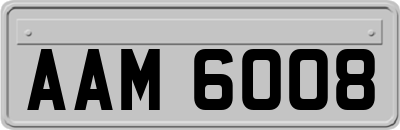 AAM6008
