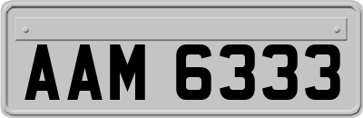 AAM6333