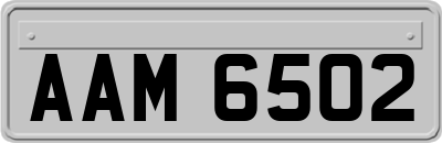 AAM6502