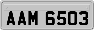 AAM6503