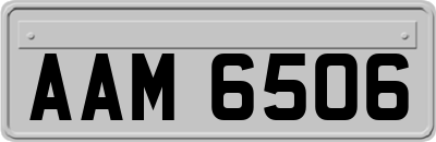 AAM6506
