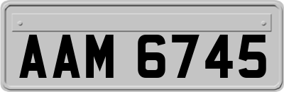 AAM6745