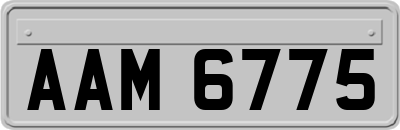 AAM6775