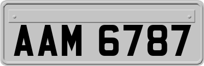 AAM6787