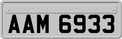 AAM6933