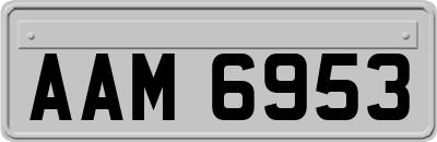AAM6953
