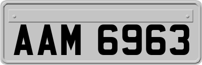 AAM6963