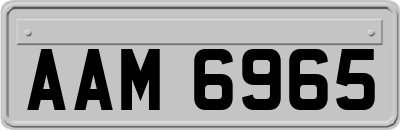 AAM6965