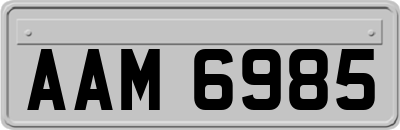 AAM6985