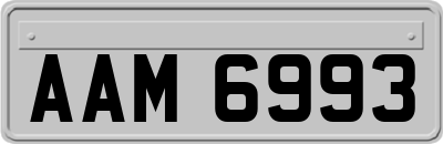 AAM6993