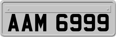 AAM6999