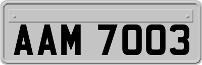 AAM7003