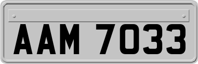 AAM7033