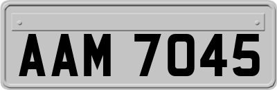 AAM7045