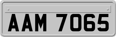 AAM7065