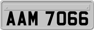 AAM7066
