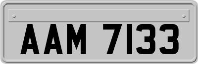 AAM7133