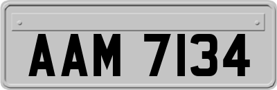 AAM7134