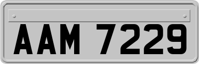 AAM7229