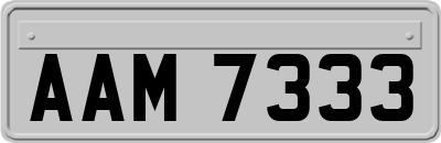 AAM7333