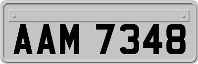 AAM7348