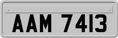 AAM7413