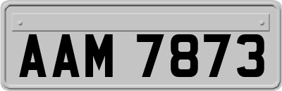 AAM7873