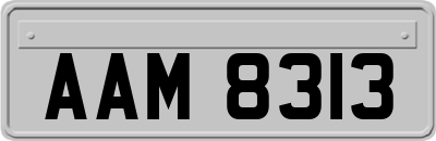 AAM8313