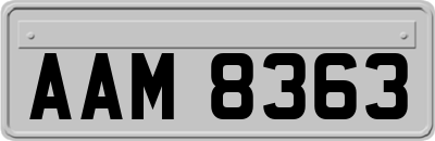 AAM8363