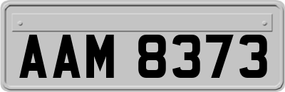 AAM8373