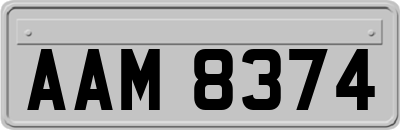 AAM8374