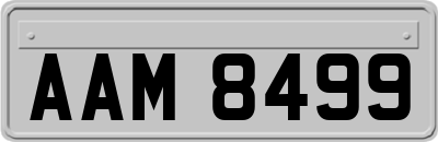 AAM8499