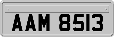 AAM8513