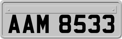 AAM8533