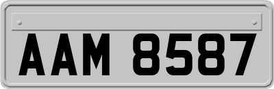 AAM8587