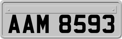 AAM8593