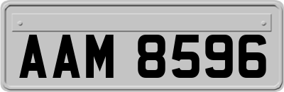 AAM8596