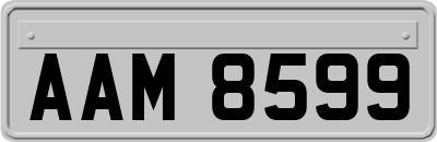 AAM8599