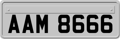 AAM8666